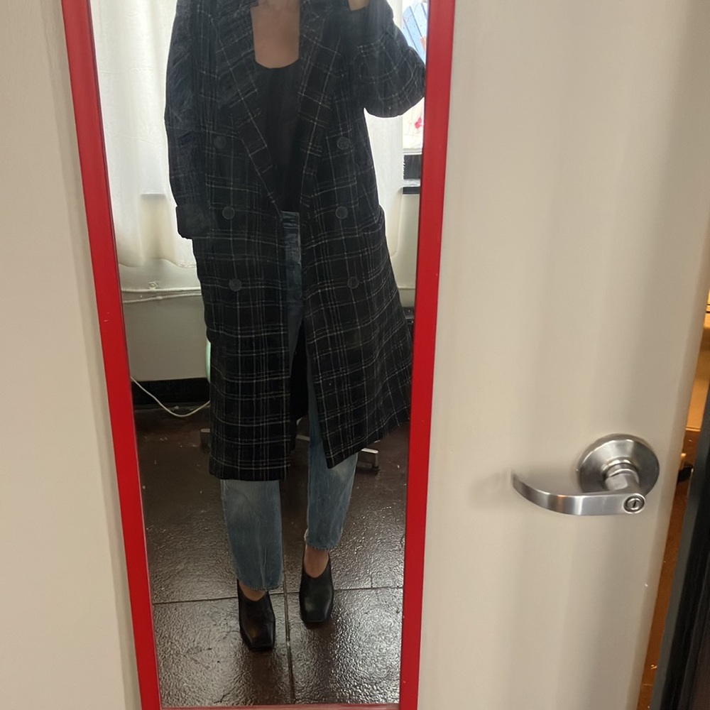 LAST CHANCE! Zara plaid coat - Picture 2 of 5